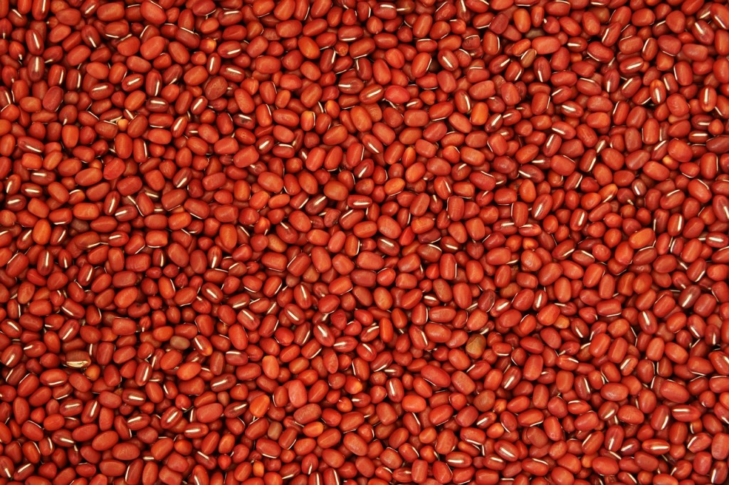 red-bean-1074078_1280