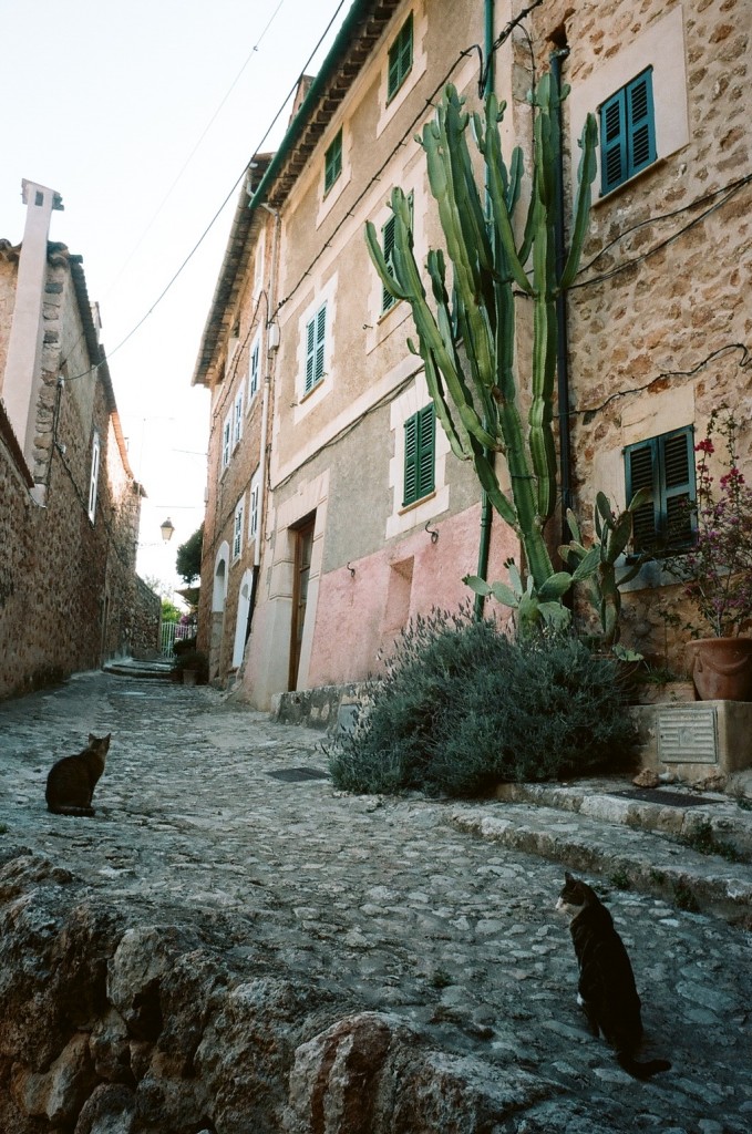 Like all good southern European towns, the streets of Fornalux are ruled by a band of stealthy feline residents. At the end of the day, the town winds down watching soccer in the town square over a few bottles of local wine, which you can pick up in a plastic flagon from any of Majorca’s markets.