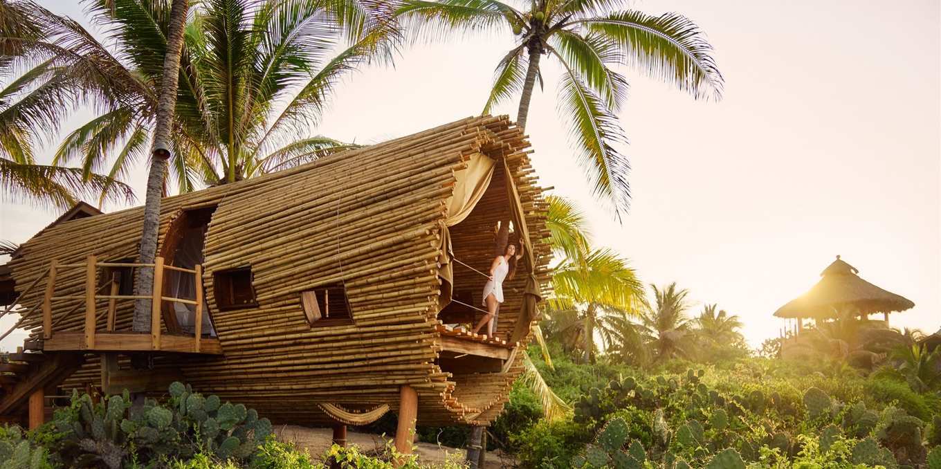 This Treehouse Sure Looks Like A Good Place To Stay On Your Mexico Trip