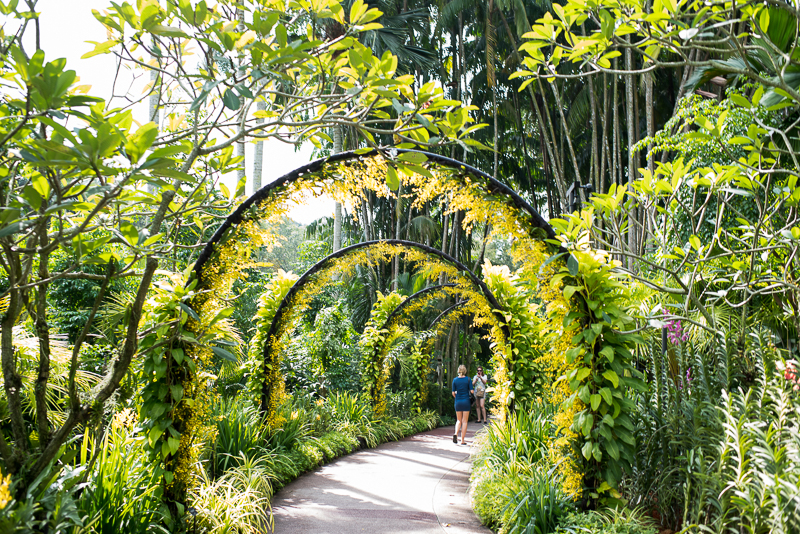 Singapore_BotanicGardens_SSHProducts_CitizensoftheWorld_DominicLoneraganPhotography_MeghanMcTavish_TravelPhotography_170216_0033 (1)