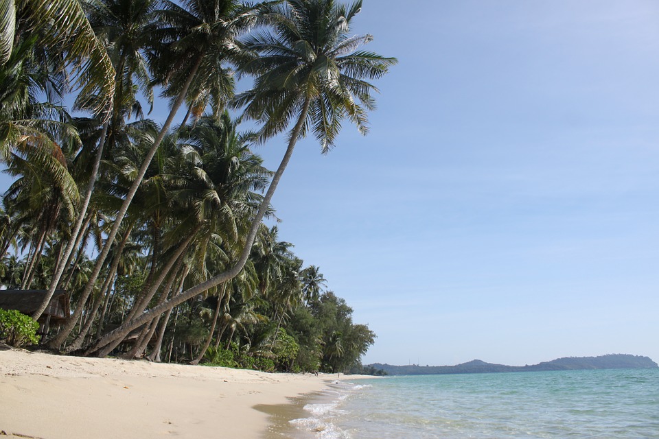Thailand The Island Of Koh Kood Palm Trees Beach