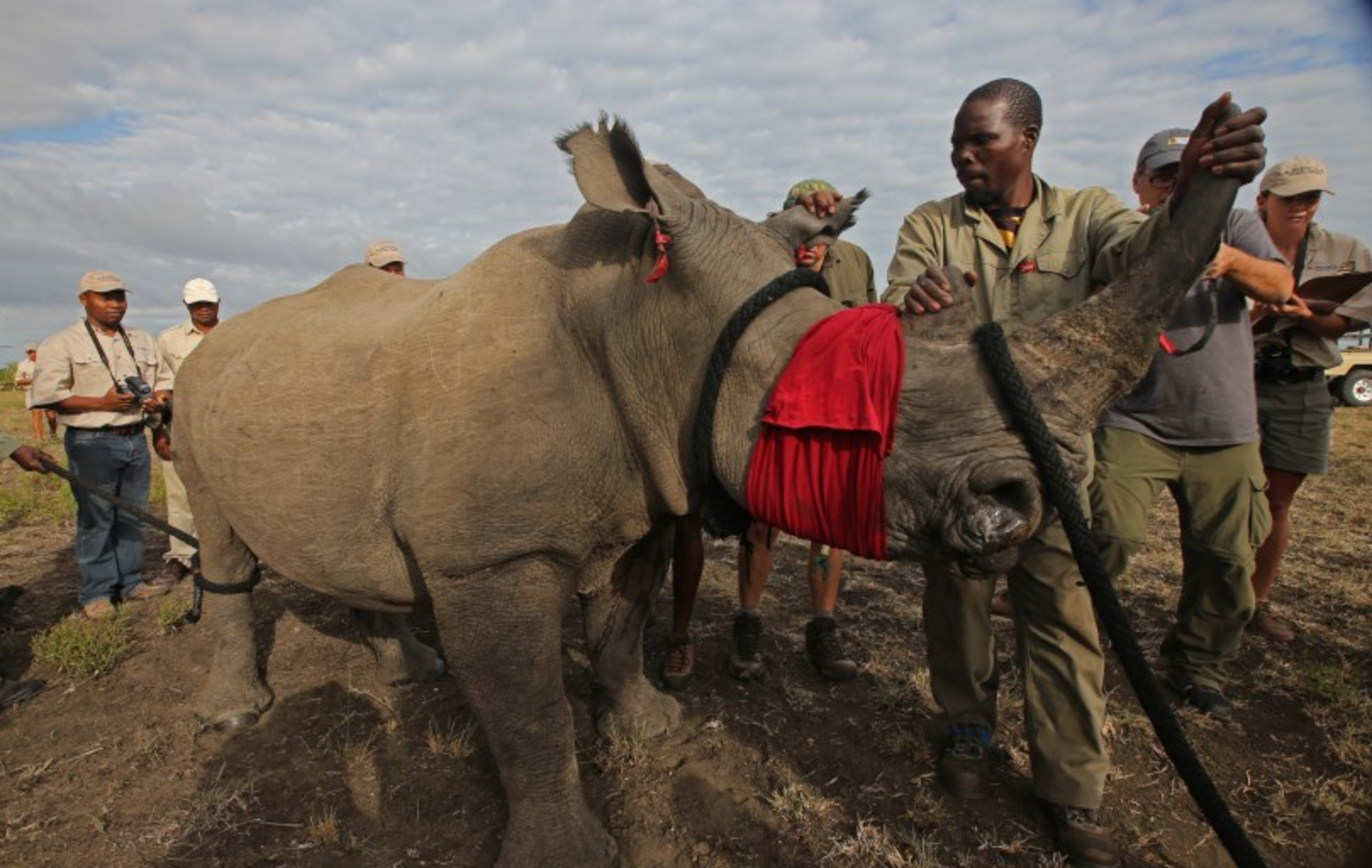 Image: Beverly Joubert/Rhinos Without Borders website