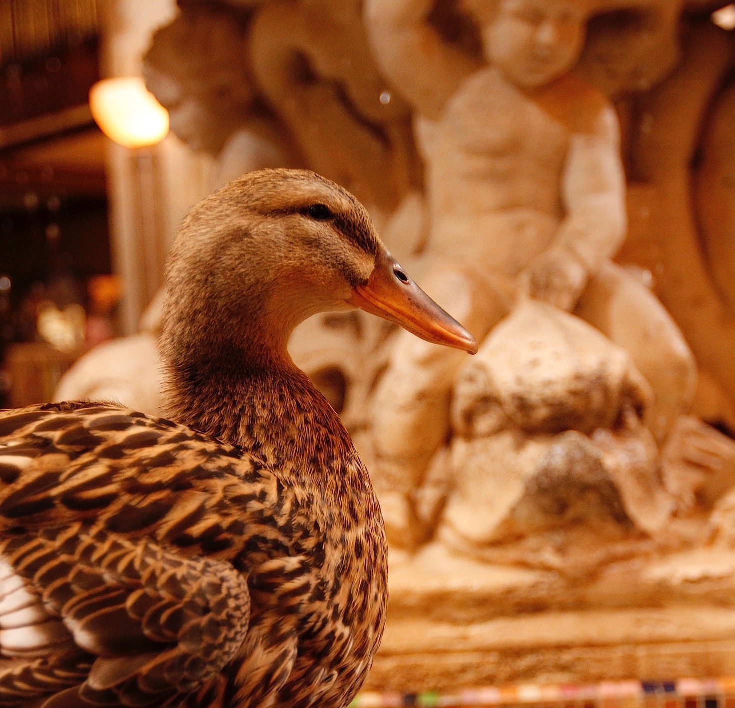 Image 4 - Duck March at Peabody Hotel