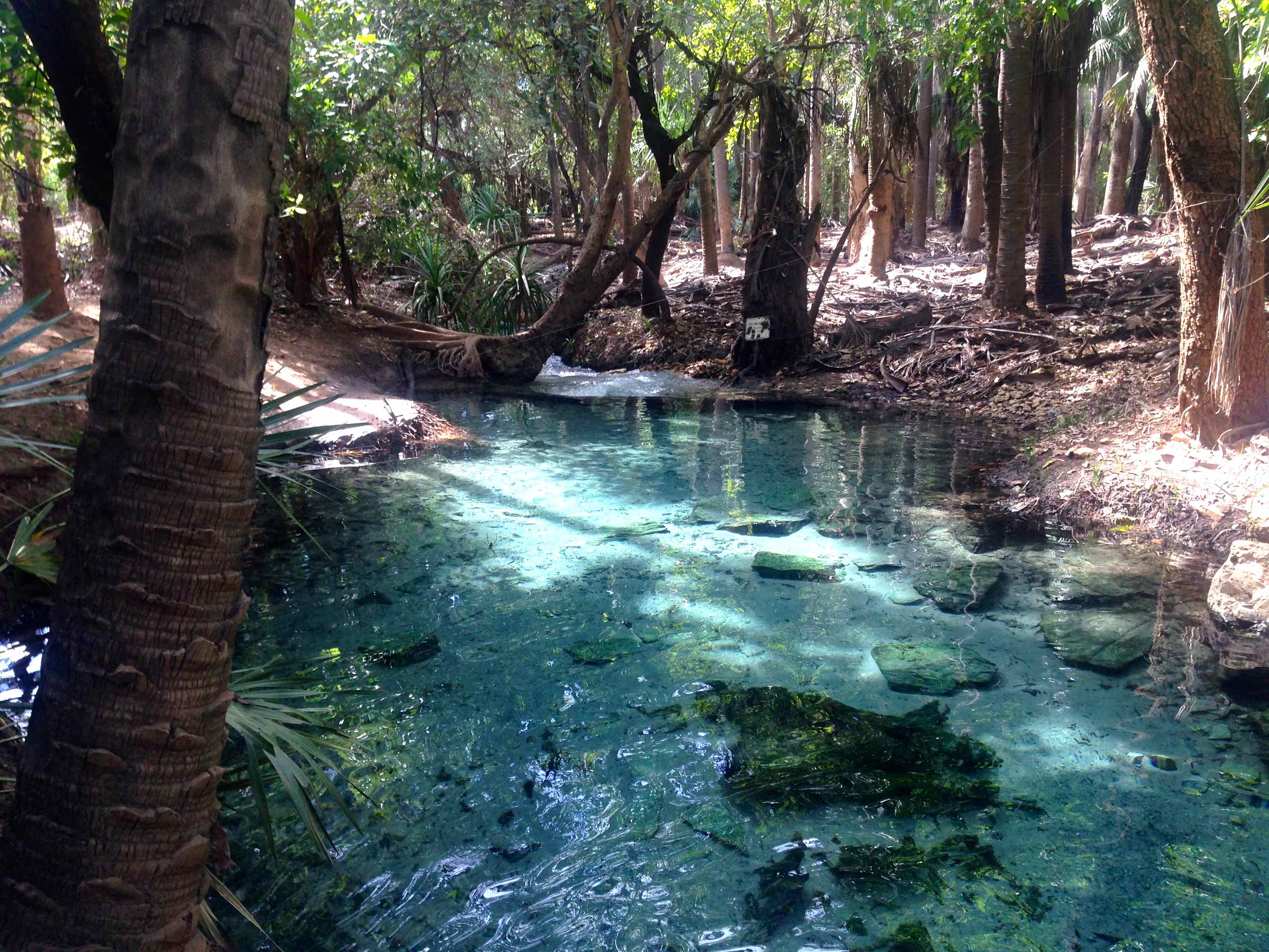 The 9 Best Swimming Holes Near Darwin In The Northern Territory