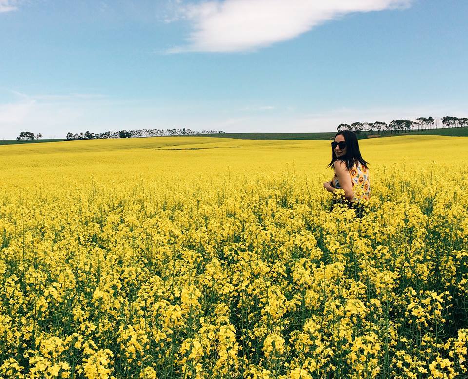 These Amazing Yellow Fields Are What Instagram Dreams Are Made Of