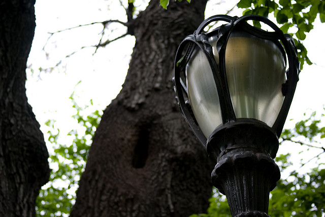 Lamp Posts Hold A Century Old Code, Code Of Central Park Lamp Posts
