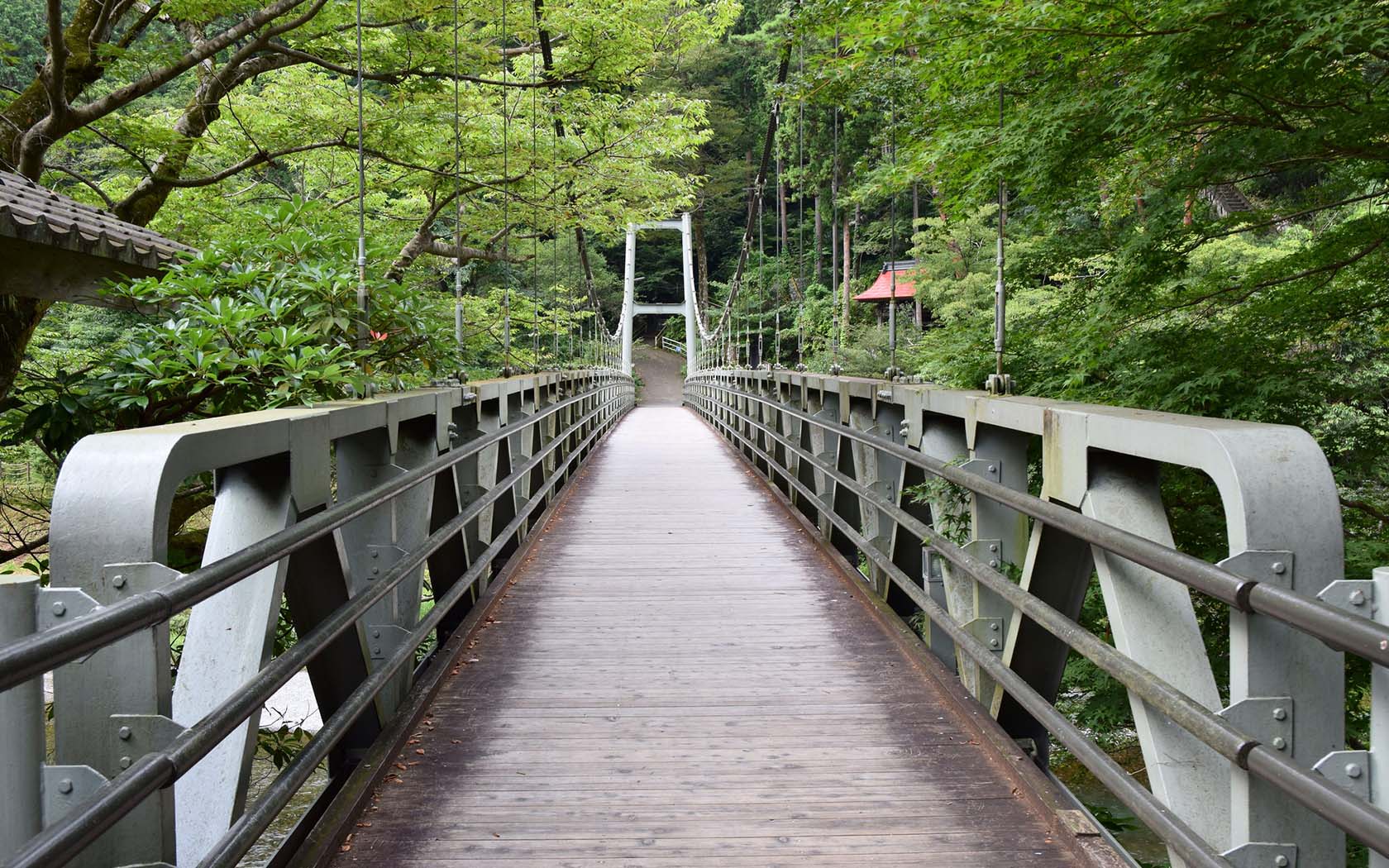 Bridge over Tama River, Ome, Japan