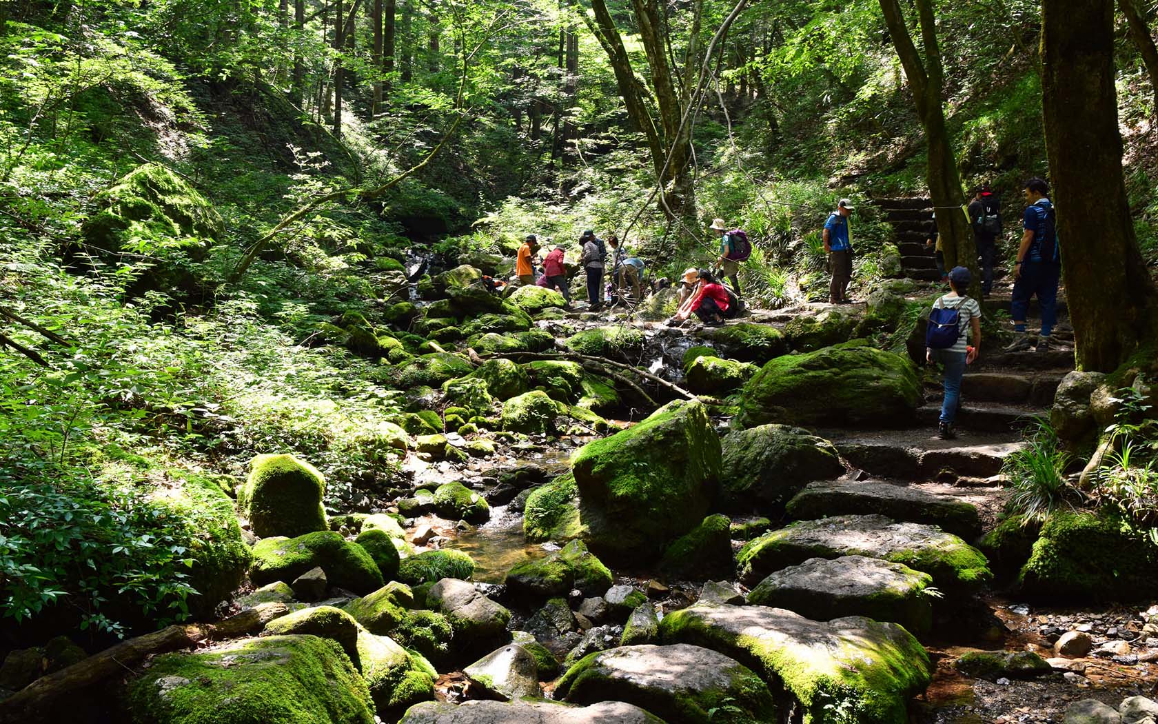 Hiking trails in Ome, Japan