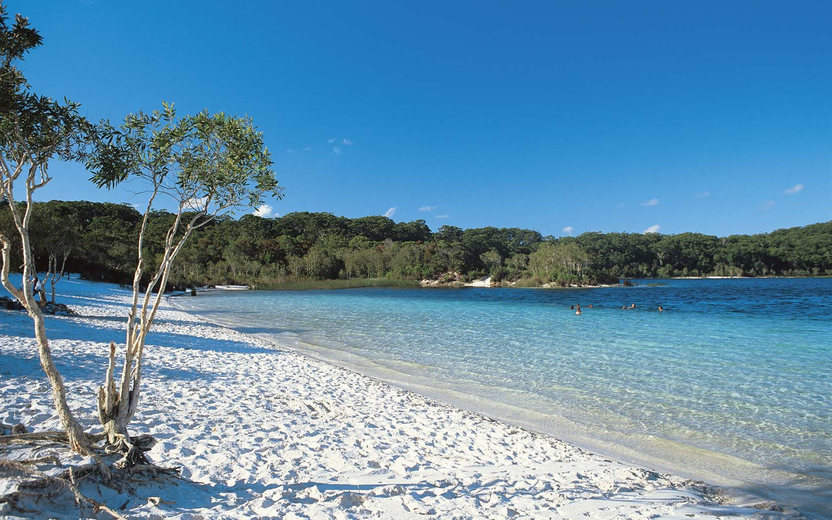 Fraser Island s Lake McKenzie Is Nature s Own Day Spa