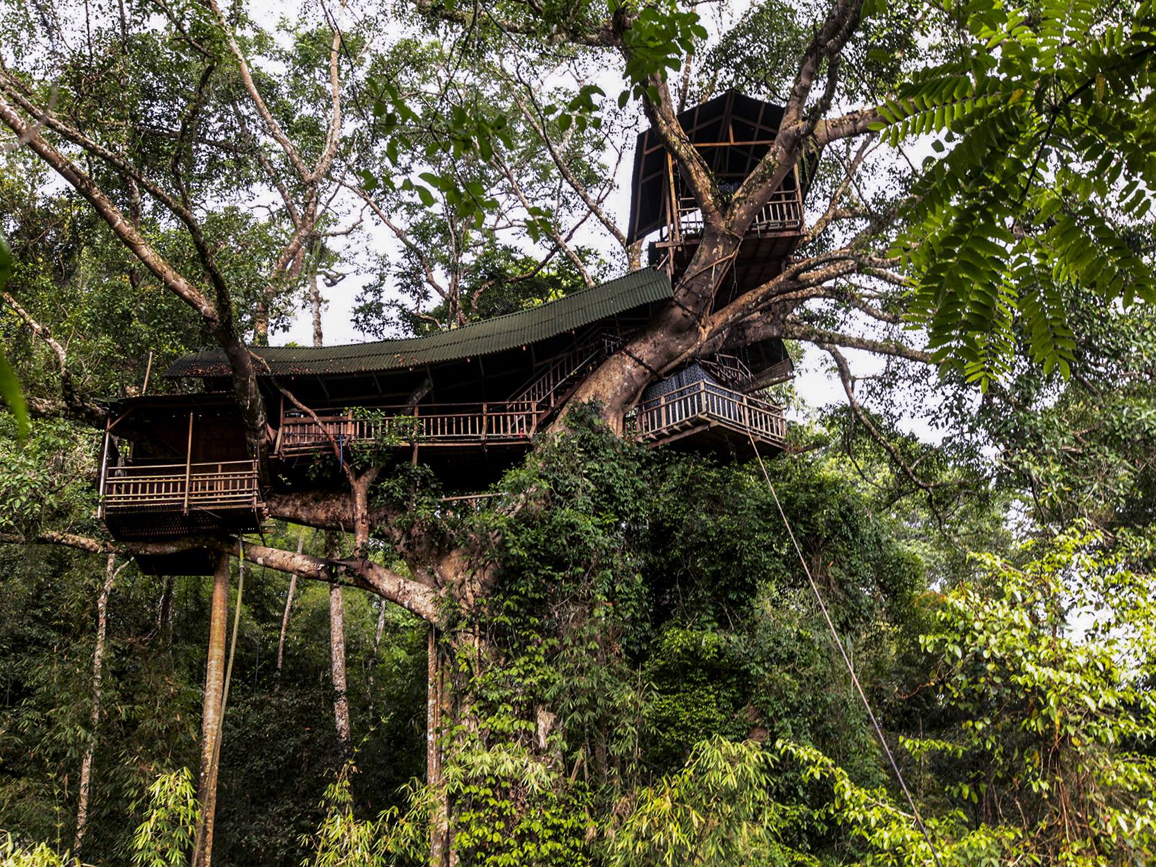 The Gibbon Experience treehouses