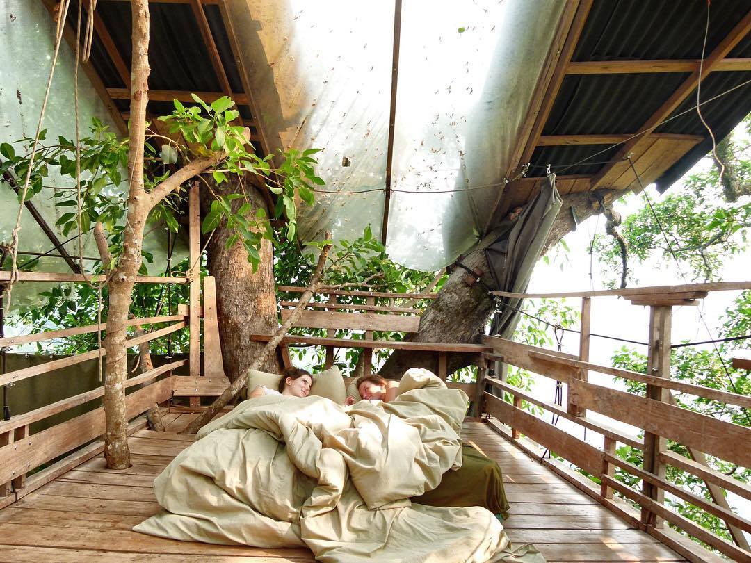 The Gibbon Experience treehouses