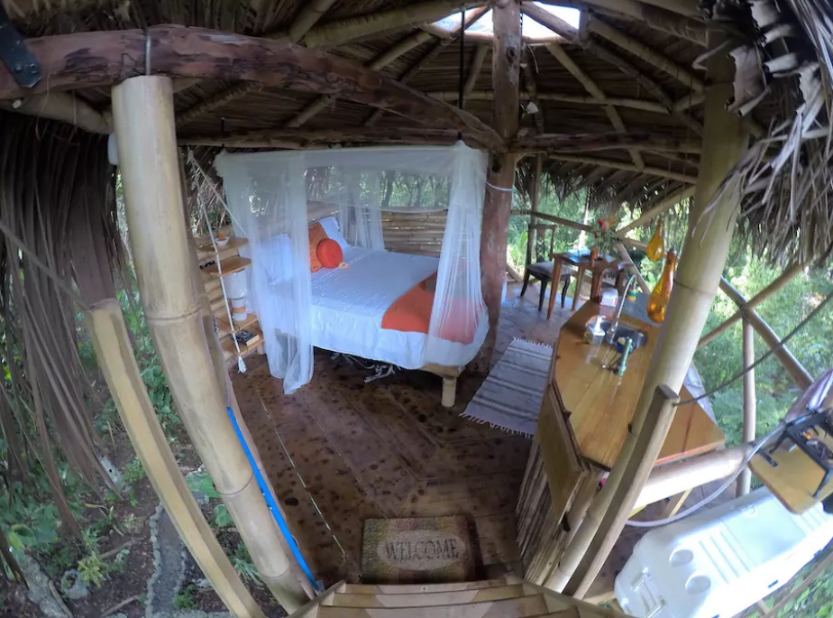Jungle Treehouse, Panama