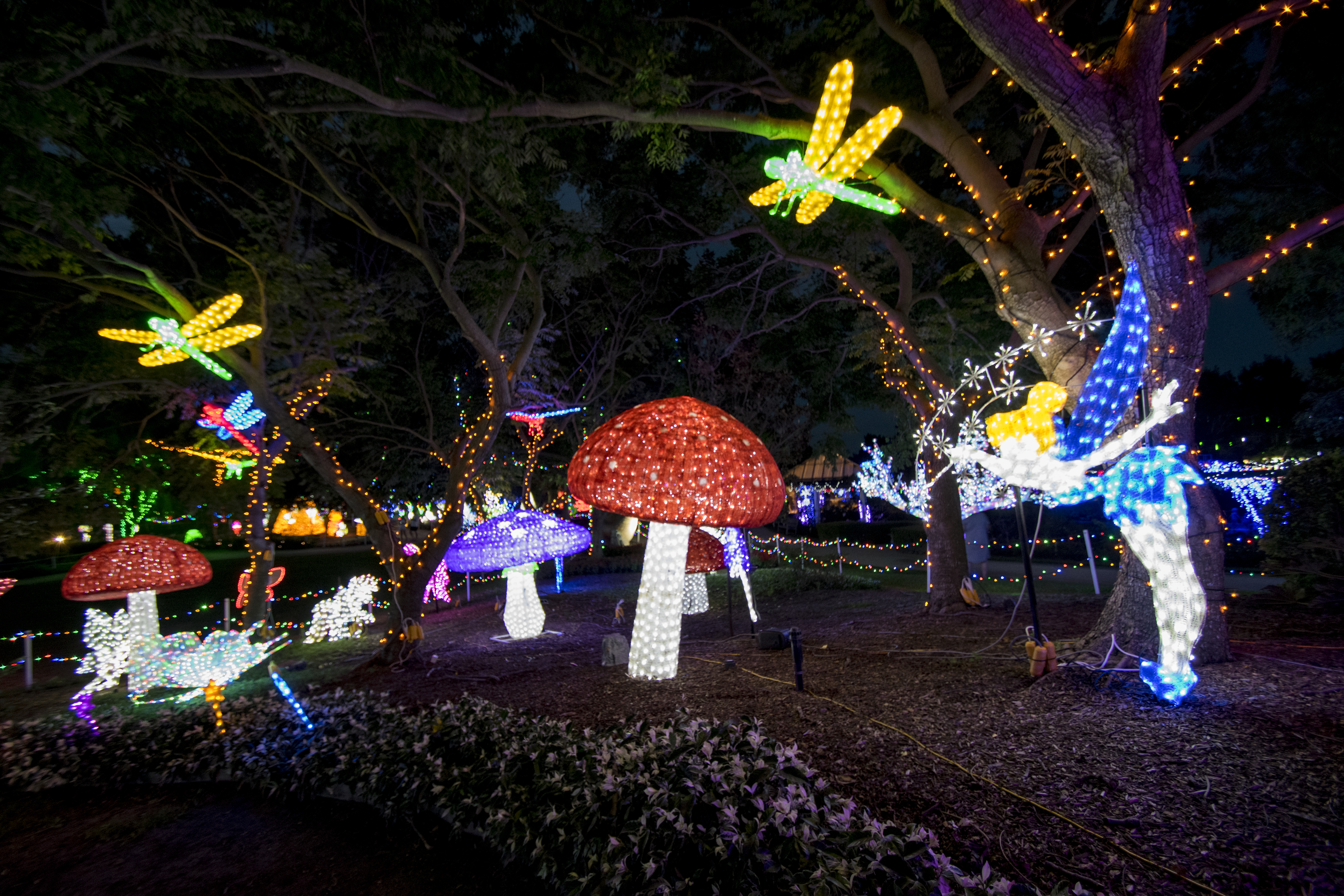 Hunter Valley Gardens Christmas Lights Spectacular Returns ...