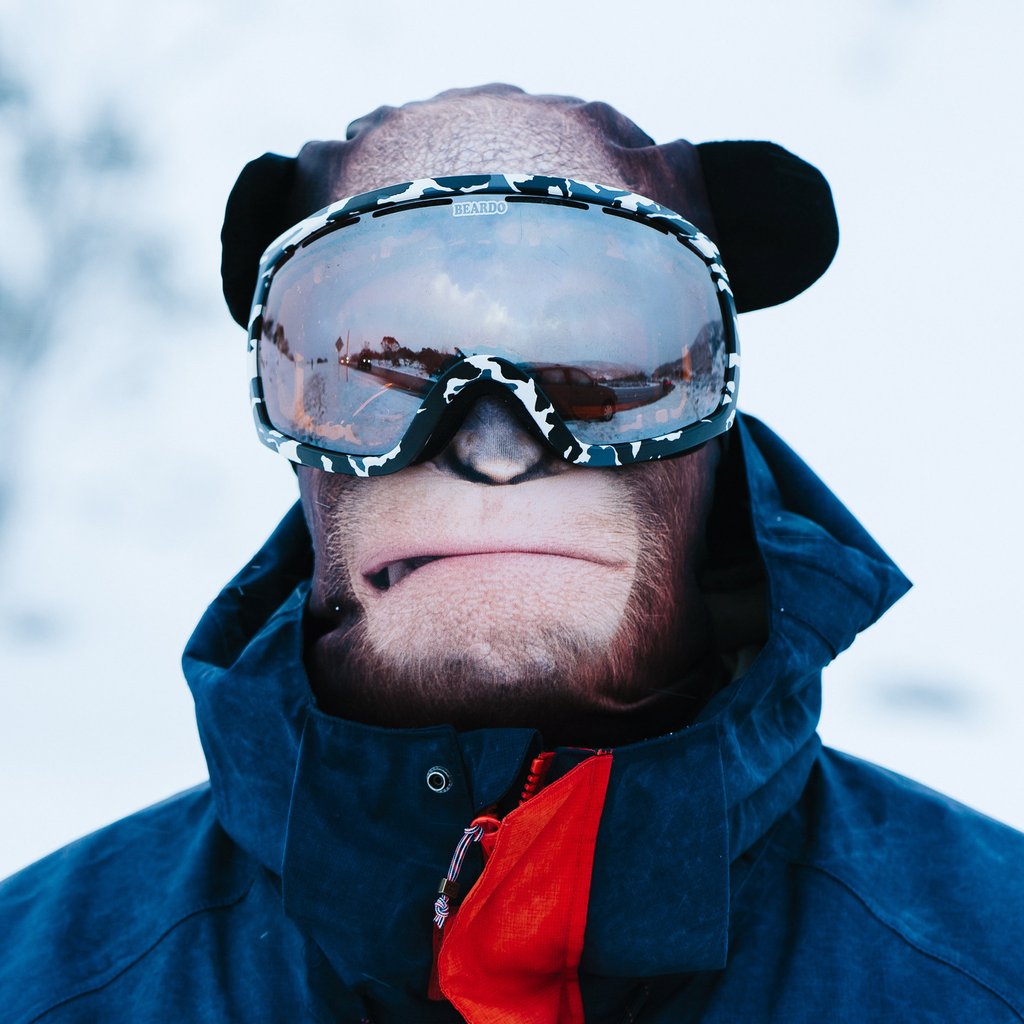 Beardo orangutan ski mask