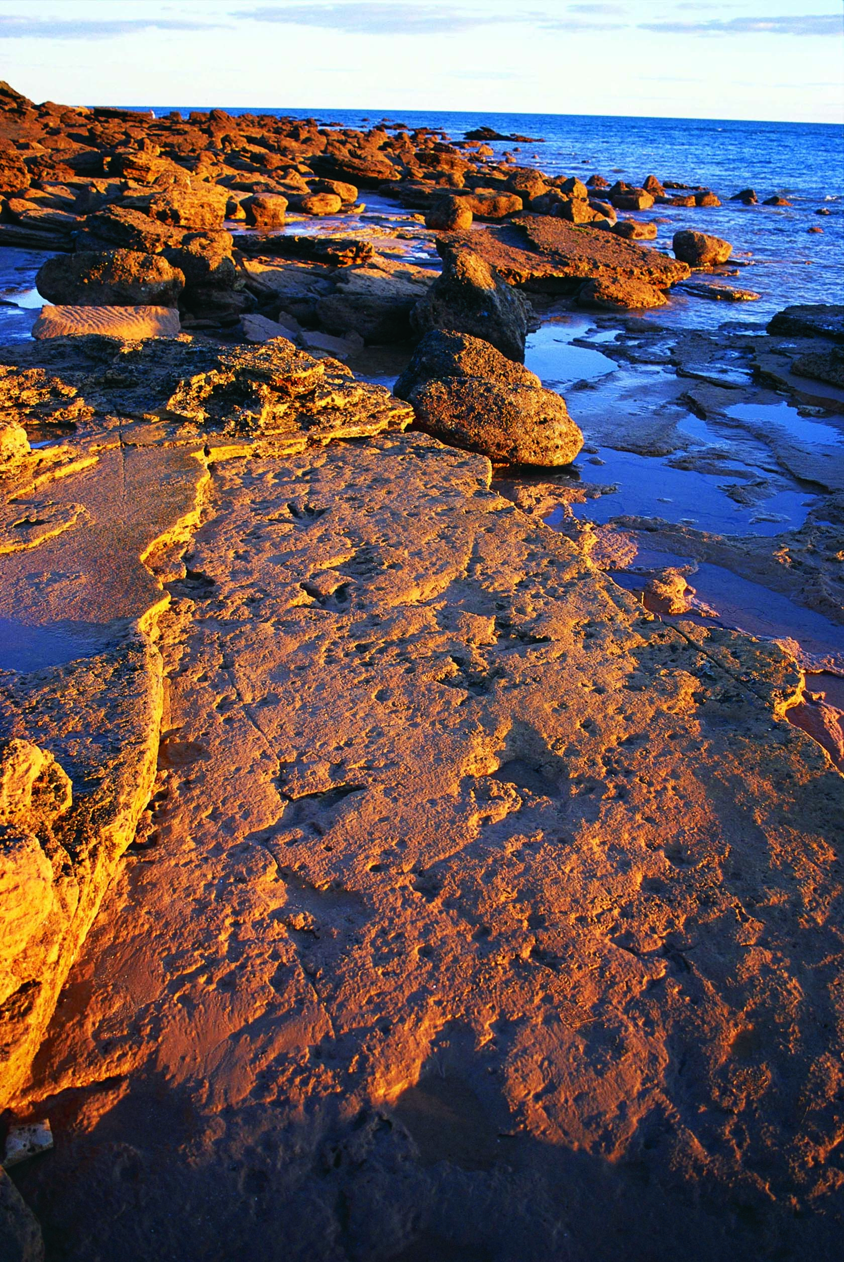Dinosaur footprints at Gantheaume Point, Broome