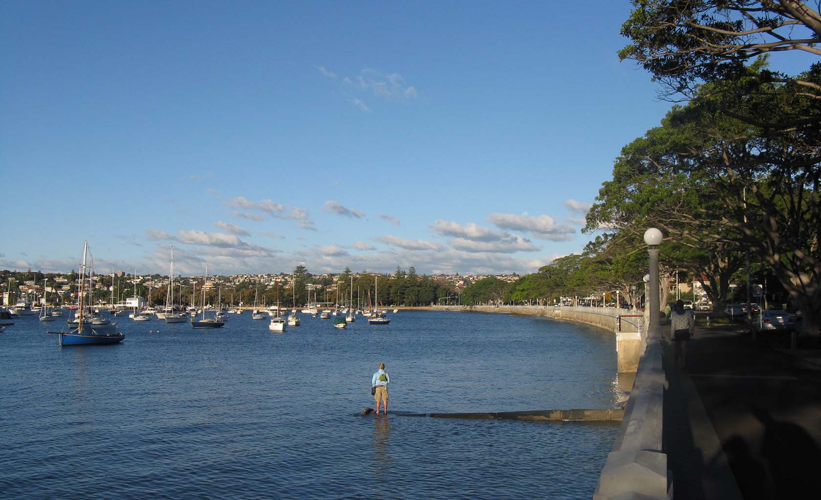Rose Bay, Sydney, NSW