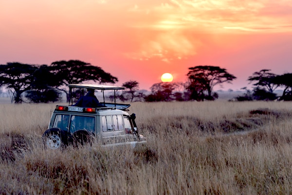 Make sure you get involved on your African safari, and be an active participant.