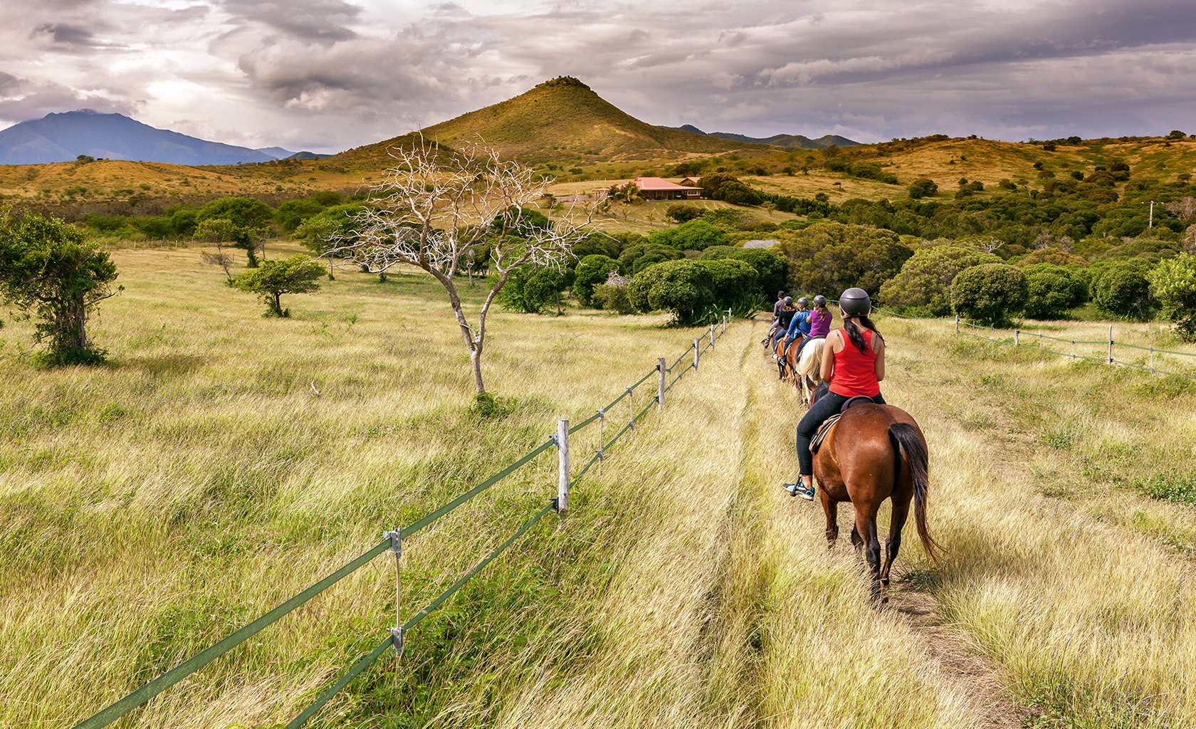 Horse riding in New Caledonia