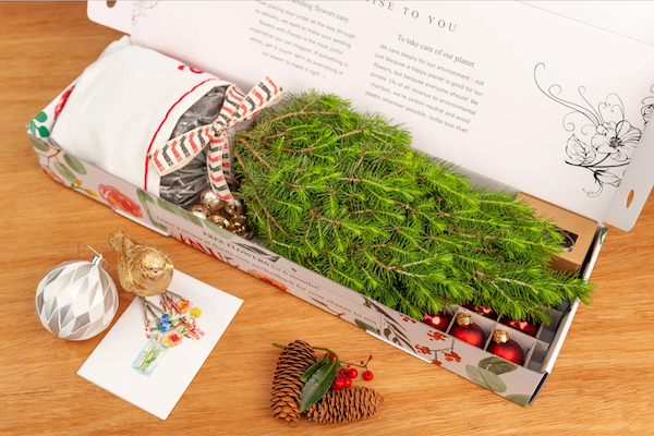 Get A Miniature, Real Christmas Tree Delivered To Your Door This Year