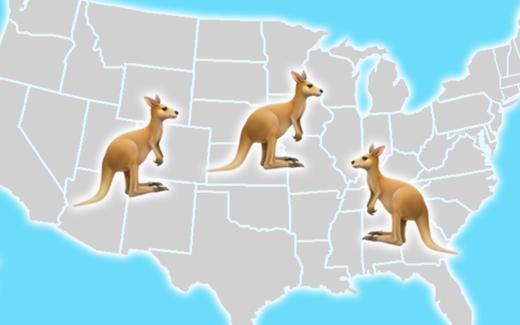 Can You Own A Kangaroo As A Pet You Sure Can In These Us States,Mother In Laws Tongue Blooms